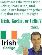 The Irish language was almost wiped out. The English made it illegal for English living in Ireland to speak Irish, and for the native speaker to speak Irish if talking to an Englishman. Anyone who wanted to get ahead in life had to speak English. The Great Famine had roughly 1/3 of the population leaving Ireland, which added to the problem. Irish was banned in the courts of Northern Ireland. Today, Ireland is reviving its language. Signs are in Irish first, then English. It is taught in schools.